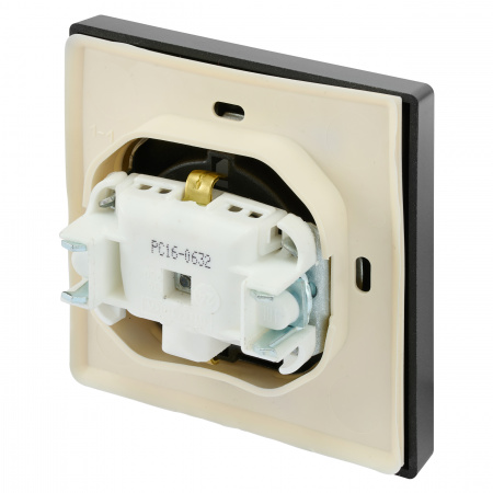 Bylectrica Роз. 1-местн. СУ с земл. с крышкой IP44 серия CARRE (КАРЕ), графит (РС16-0632)